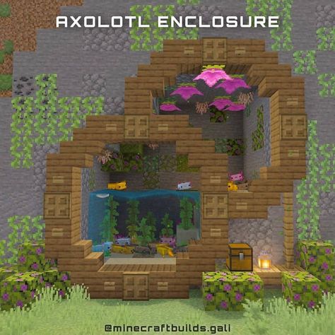 Minecraft Builds & Modeling on Instagram: “Axolotl enclosure Credit by: @minecraftbuilds.gali gali - Comment what you think 💬 - Like & share with your friends 👫👬   Follow:…” Cute Minecraft Forest Builds, Minecraft World Layout Ideas, Cute Minecraft Animal Pen Ideas, Minecraft One Block Ideas, Minecraft Watermelon Build, All The Mods 8 Minecraft Builds, Minecraft Frog Fountain Tutorial, Bat Enclosure Minecraft, Lava Pool Minecraft