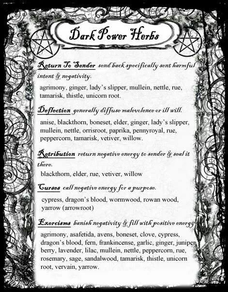 Dark power herbs Magickal Herbs, Witch Herbs, Black Magick, Dark Power, Magic Spell Book, Magic Herbs, Magick Spells, Magical Herbs, Wiccan Spell Book