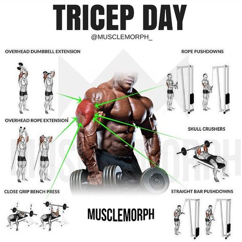 5,704 Likes, 19 Comments - MuscleMorph® (@musclemorph_) on Instagram: “Is your chest lagging? Try this workout SAVE it so you can use it at the gymLIKE and FOLLOW…” Tricep Workout, Fitness Routines, Trening Fitness, Muscle Building Workouts, Weight Training Workouts, Gym Routine, Workout Chart, Workout Plan Gym, Triceps Workout