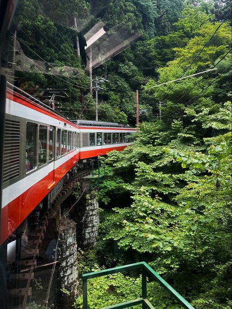 #hakone #nature #japan #tourism #photography #photoidea Hakone Japan Aesthetic, Japan Wilderness, Japan Forest, Tourism Photography, Nature Japan, Hakone Japan, Japan Nature, Tuna Mayo, Winter In Japan