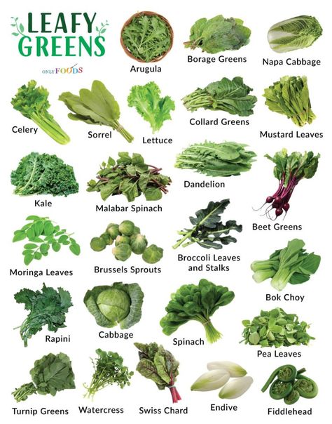 Green Vegetables List, Vegetables With Iron, Vegetables List, Broccoli Leaves, Leafy Green Vegetables, Vegetable Chart, Green Leafy Vegetables, Malabar Spinach, Vegetable Coloring Pages