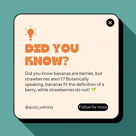 🍌🍓 Trivia Time! 🍓🍌 Fruit facts are so cool! Stay tuned for more surprising trivia and quizzes with us at Quizzles! 🔔 Follow us and turn on notifications for your daily dose of trivia and fun! #Quizzles #TriviaTime #FunFacts #LearnSomethingNew #DidYouKnow #JoinTheFun #game #quiz #instagram #fun #TriviaFun #trivia #gk #facts #education Mindblowing right? Trivia Social Media Post, Educational Content For Instagram, Myth Vs Fact Creative Design, Instagram Post Games, Trivia Design, Fun Fact Design, Freelance Ideas, Quotes Template, Hampton Homes