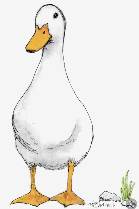 Duck Watercolor, Duck Drawing, Duck Art, A Duck, Art Et Illustration, White Duck, Bird Drawings, Art And Illustration, Watercolor Bird