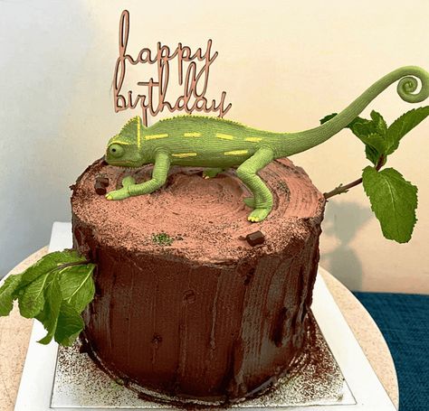 Chameleon Birthday Cake Ideas Images (Pictures) Geko Lizard Cake, Bearded Dragon Birthday Cake, Lizard Birthday Party Ideas, Lizard Birthday Cake Ideas, Chameleon Birthday Party, Reptile Cakes For Boys, Reptile Birthday Cake, Chameleon Cake, Reptile Cake