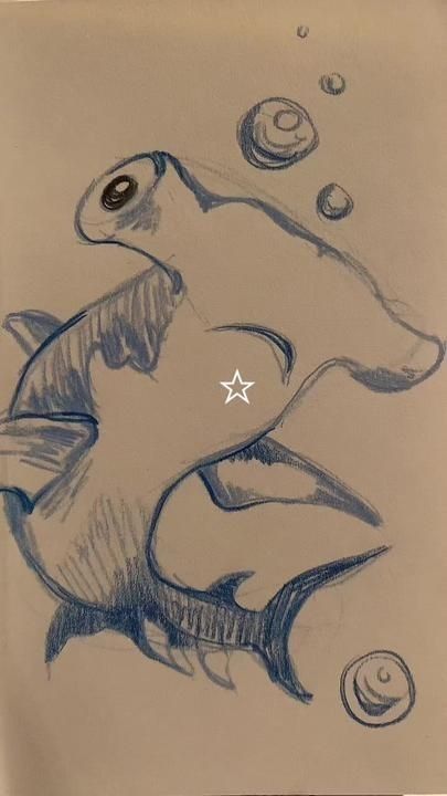 Hammerhead Shark Drawing Sketches, Marine Life Doodles, Shark Sketch Easy, Sharks Doodle, Whale Shark Drawing Sketches, Cute Ocean Animals Drawings, Hammer Head Shark Drawings, Sea Animals Drawing Sketch, Marine Biology Drawings