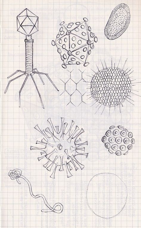 Sketches for viruses/bacteria Bacteria Cartoon, Biotechnology Art, Medicine Aesthetic, Hospital Art, Biology Drawing, Aesthetic Medical, Dna Tattoo, Doctor Hospital, Black Ink Art