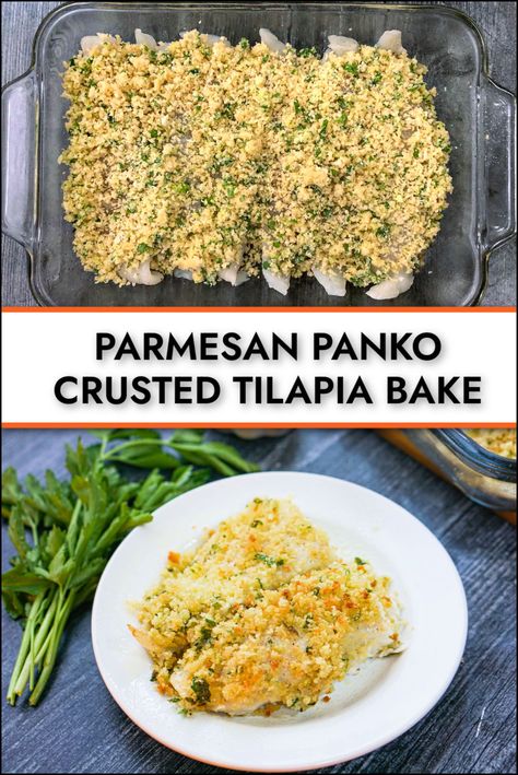 Quick And Easy Tilapia Recipes, Dinner Recipes With Tilapia, Tilapia And Spinach Recipes, Tilapia Meal Ideas, Herb Crusted Tilapia, Panko Parmesan Tilapia, Breaded Tilapia Recipes Baked Parmesan Crusted, Baked Frozen Tilapia, Panko Tilapia Baked