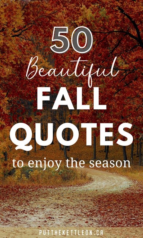 50 fall quotes to enjoy the season Flannel Season Quotes, Quotes For Autumn Season, Quotes About Changing Seasons, Changing Of The Seasons Quotes, Inspirational Fall Quote, Fall Nights Quotes, Beautiful Fall Quotes, Summer Fades Into Fall Quotes, Quotes About Seasons Changing