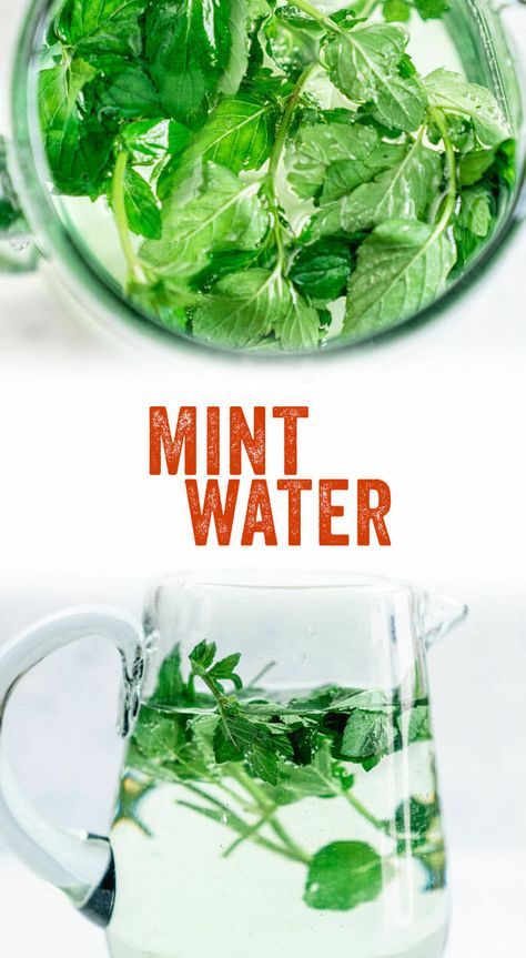 Easy Mint Water Recipe – A Couple Cooks Mint Uses Recipes, Mint Recipes Drink, Recipes With Mint Leaves, Recipes Using Mint, Mint In Water, Fresh Mint Recipes, Recipes With Mint, Spearmint Recipes, Mint Leaves Recipe