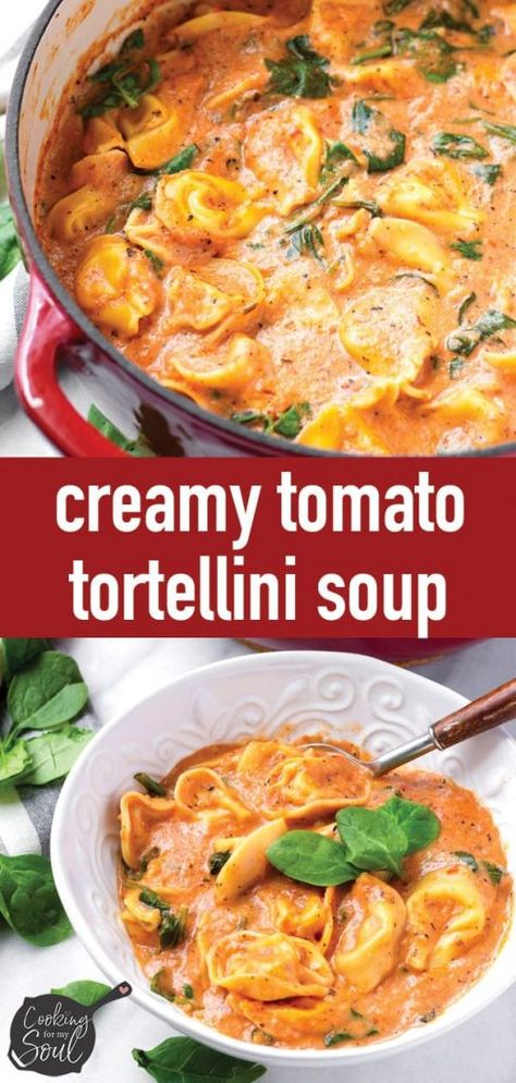 Tortellini Tomato Soup, Tortellini Soup Crockpot, Creamy Tomato Tortellini Soup, Creamy Tomato Tortellini, Cheese Tortellini Soup, Soup Quick, Tomato Tortellini, Creamy Tortellini, Creamy Tortellini Soup