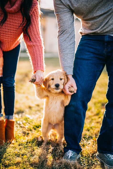 Photoshoot with dog #puppy #dog #photography #dogphotography #photoshoot#photoshootideas Family Picture With Dog Ideas, Doggie Photoshoot Ideas, With Dog Photography, Pup Photoshoot, Photoshoot Ideas For Dogs, Puppy Pics Ideas, Puppy And Me Photoshoot, Photo Shoot For Dogs, Picture Ideas With Dogs