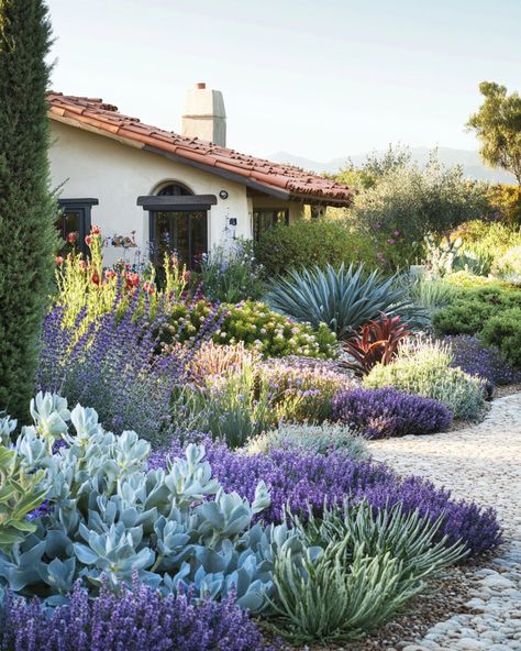 Arizona Style Landscaping, Drought Resistant Landscaping Front Yard California, Agave And Lavender Garden, Landscape Design Drought Tolerant, Mexican Sage Landscape, Landscape With Agave Plants, Drought Tolerant Landscape Front Yard California Native Plants, Drought Tolerant Garden Design, Drought Tolerant Cottage Garden