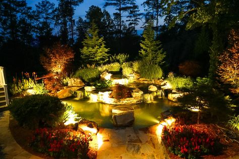 Aquatic Garden, Koi Ponds, Pond Lights, Light Garden, Sunset Light, Outdoor Landscape Lighting, Easy Landscaping, Backyard Lighting, Ponds Backyard