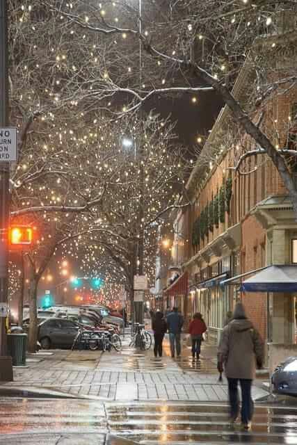 Snow in Old Town by Colorado State University. Colorado Fort Collins, Denver Houses, Colorado Life, Fort Collins Colorado, Walking Down The Street, Mountain High, College Town, Colorado Homes, Rocky Mountain National