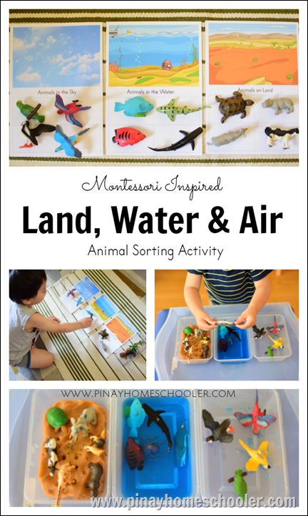 Introducing Toddlers to Animals in Land, Water and Air | The Pinay Homeschooler Montessori Science, Montessori Geography, Maluchy Montessori, Diy Montessori, Montessori Lessons, Aktiviti Kanak-kanak, Montessori Practical Life, Montessori Toddler Activities, Montessori Preschool