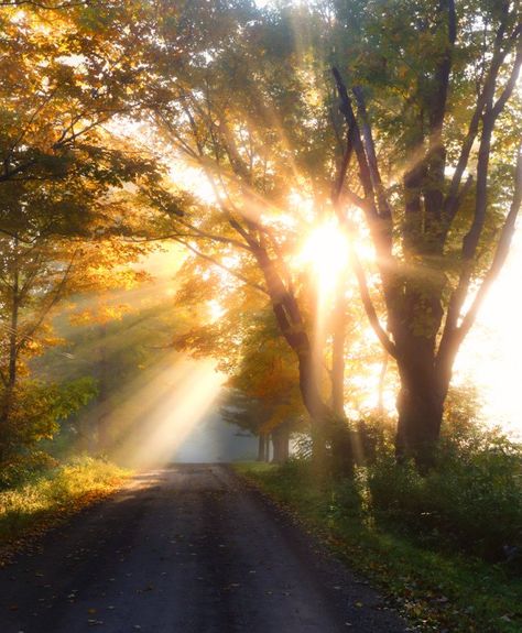 These 18 Beautiful Sunrises In Vermont Will Have You Setting Your Alarm Wow Photo, Sunrise Pictures, Sunrise Photos, Beautiful Sunrise, Mellow Yellow, Beautiful Sunset, Sunrise Sunset, Vermont, Beautiful Nature