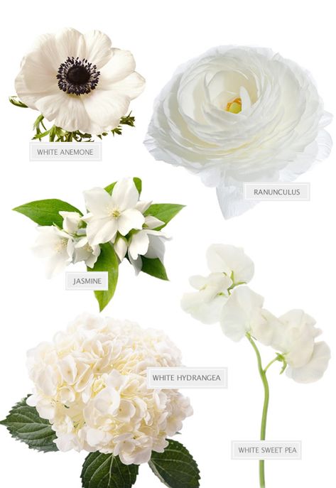 Wedding Decorations White, White Arrangement, Wedding Centrepiece, Event Florals, Green Centerpieces, White Centerpiece, White Anemone, Flower Guide, Flower Inspiration