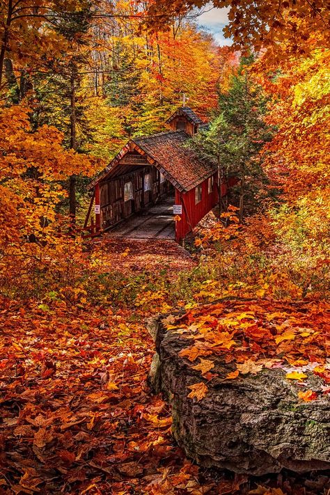 Joshuas Crossing, Lake Ann, Michigan 📍 | Autumn scenery, Autumn photography, Fall pictures Acadia Maine, Mountain Trail, Covered Bridge, Autumn Scenery, Wallpaper Vintage, Acadia National Park, Harvest Season, Autumn Beauty, Fall Pictures