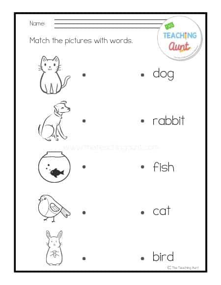 Questions About Animals, Preschool Pets Activities, Worksheet Animals For Kids, My Pets Worksheets For Kids, Pet Animals Worksheets For Kids, Pets Worksheets Preschool, Pet Animals Worksheet, Pets Activities Preschool, Pets Activities For Kids