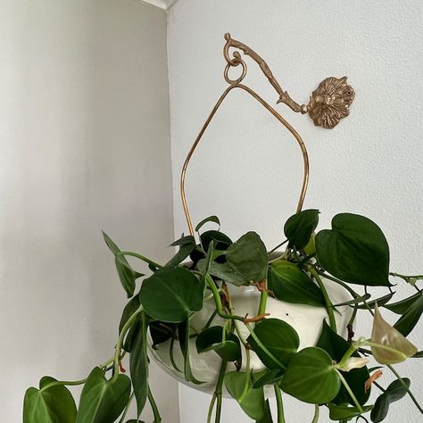 Wall decor Planter Hanger, Plant Bracket, Brass Wall Hook, Plant Hooks, Wall Rack, Hook Wall, Wall Racks, Brass Decor, Brass Wall