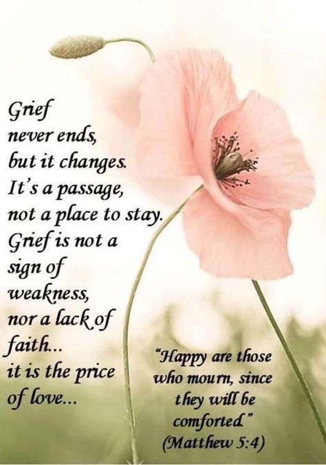 Christian Condolences Messages For Loss, Jw Sympathy Cards, Jw Sympathy Quotes, Jw Condolences Quotes, Jw Sympathy Quotes Condolences, Christian Sympathy Quotes Condolences, Jw Org Quotes Encouragement, Scripture For Loss, Jw Encouragement Quotes