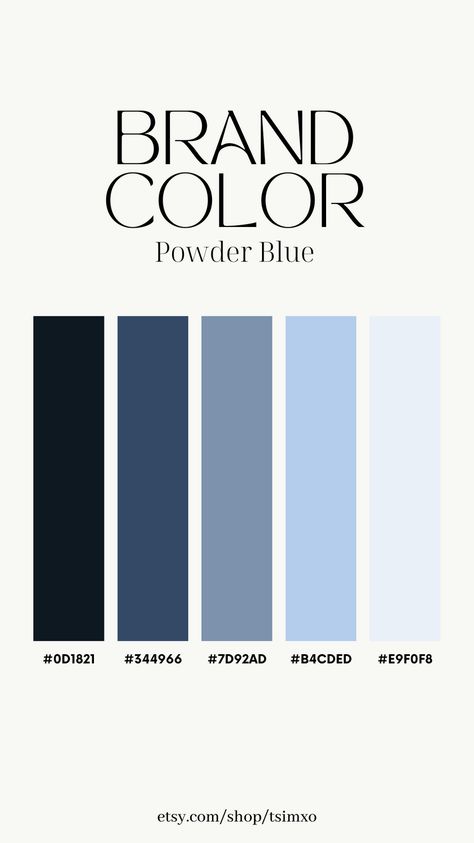 Power Point Color Pallete, Pantone Color Schemes, Dark Blue Vintage, Monochromatic Colour Palette, Blue And Grey Palette, Color Palette Dark Blue, Grey Blue Color Palette, Blue And Grey Color Palette, Colour Pallete Combinations