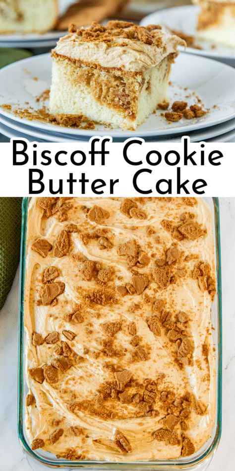 Brownie Cake With Cookie Butter Frosting, Dessert Cookoff Ideas, Biscoff Dump Cake, Biscoff Cookie Cake Recipe, Bischoff Cake Recipe, Deserts With Cookie Butter, Biscoff Box Cake, Vanilla Biscoff Cake, Cookie Butter Poke Cake