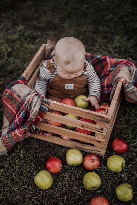 18 Cute Fall Baby Pictures That You Can Take Yourself - Just Simply Mom Fall Baby Photos, Baby Holiday Photos, Fall Baby Pictures, 6 Month Baby Picture Ideas, Baby Milestones Pictures, Monthly Pictures, Monthly Baby Pictures, Baby Fotografie, Baby Photoshoot Boy