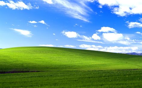 Windows Desktop Wallpaper, Microsoft Wallpaper, Zoom Wallpaper, Wallpaper Horizontal, Desktop Themes, Desktop Windows, Grass Wallpaper, Windows Wallpaper, Classic Wallpaper