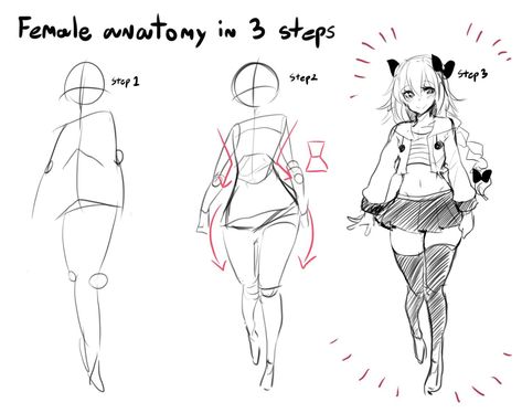 Female anatomy in 3 steps | How To Draw an Owl | Know Your Meme Draw Female Body, Girl Anatomy, Drawing Anime Bodies, Female Anatomy Reference, Drawing Female, Drawing Female Body, Character Design Cartoon, Anatomy Tutorial, Body Drawing Tutorial