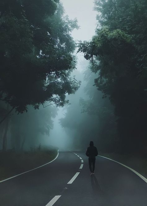 The Road, Walking, Trees, Road