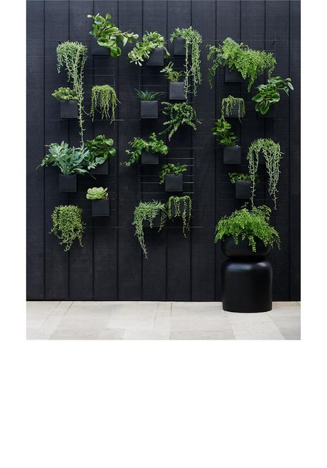 Architectural Planters, Indoor Plant Wall, Wall Planters Indoor, Wall Mounted Planters, Window Treatments Living Room, Hanging Plant Wall, Focal Wall, Box Wall, Indoor Outdoor Planter