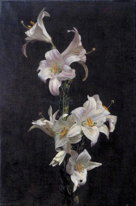 Henri Fantin-Latour - White Lilies, 1877 Gustav Klimt, Henri Fantin Latour, Lily Painting, Arte Sketchbook, White Lilies, Still Life Art, Arte Floral, Art Floral, Claude Monet