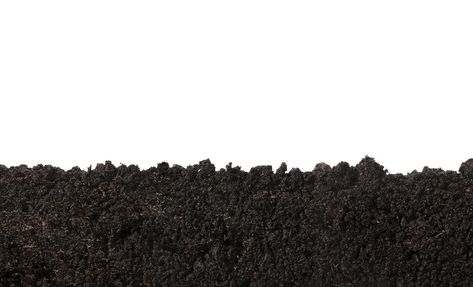 What Is Soil Porosity: How To Get Porous Soil In The Garden Black Soil, Garden Soil, The Soil, Mulch, Plant Care, Focus On, Soil, Click Here, Texture