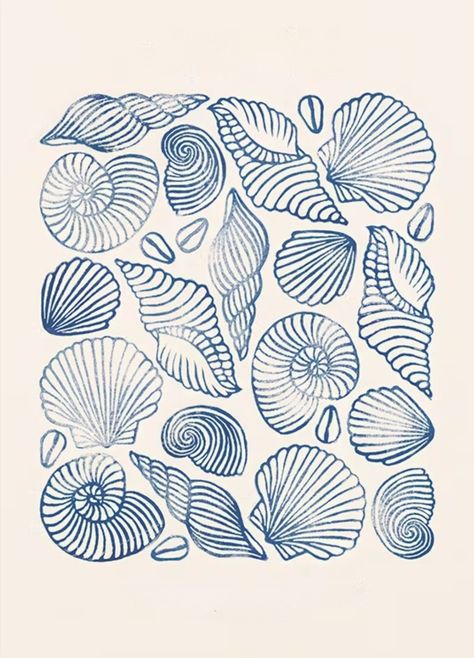 Seashell Design Drawing, Sea Oats Painting, Seashell Graphic Design, Drawing Of Shells, Jellyfish Design Illustration, Seashell Art Drawing, Printmaking Art Ideas, White Board Aesthetic, Sea Waves Drawing