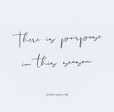 Not My Season Quotes, There Is Purpose In This Season, For Every Season There Is A Purpose, God Season Quotes, A New Season Quotes Life, Greater Purpose Quotes, Gods Purpose Quotes Life, For Everything There Is A Season Quote, Different Seasons Of Life Quotes