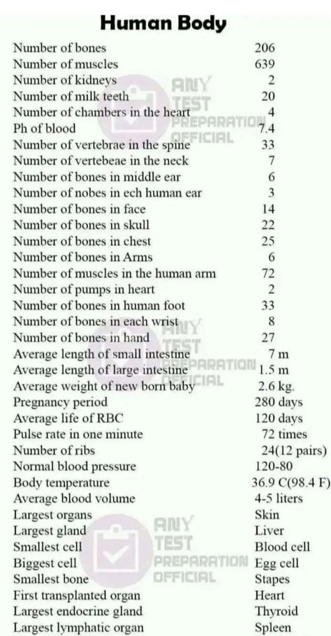 About Human Body How Many Bones In The Body Human Anatomy, Number Of Bones In Human, How Many Bones In Human, How Many Types Of Doctors, Human Body Limits, Human Body Knowledge, Health Knowledge English, Basic Biology Terms, Science Basics Knowledge