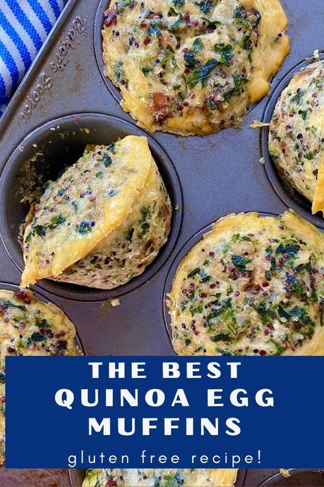 Quinoa Egg Muffins. These grab and go savory muffins are perfect for busy mornings. The protein packed muffins are loaded with quinoa, eggs, spinach, onion, bacon, and Gruyere and Parmesan cheese. Make a batch in advance. Breakfast is ready and waiting for you so you have more time to enjoy the day. Quinoa Muffins Healthy, Spinach Protein Muffins, Quinoa Egg Muffins, Quinoa Egg Bites, Savory Protein Muffins, Protein Snacks Savory, Protein Egg Muffins, Savory Breakfast Muffins, Quinoa Recipes Breakfast