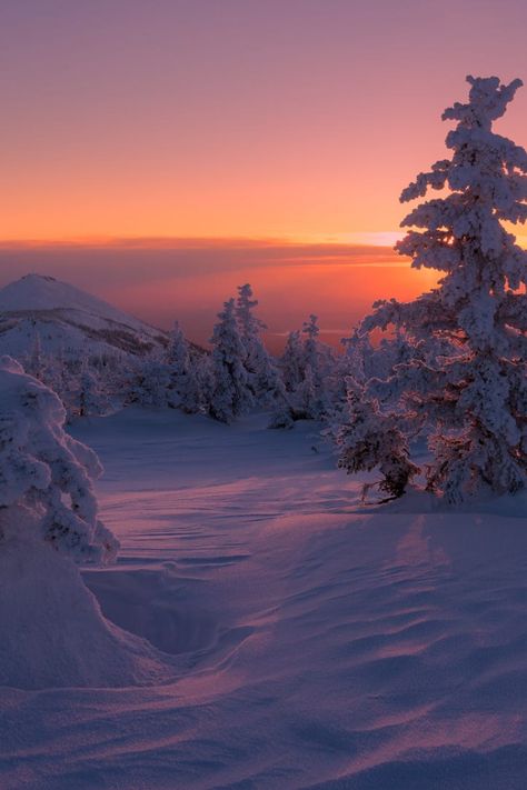 winter forest sunset Winter Sunset Pictures, Sunset In A Forest, Winter Aesthetic Desktop, Sunset Forest Wallpaper, Winter Sunset Wallpaper, Winter Forest Aesthetic, Sunset In The Forest, Sunset In Winter, Christmas Sunset