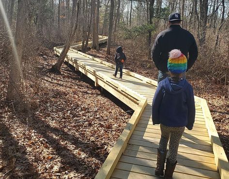 SouthCoast Wheelchair-Accessible Boardwalk First of Its Kind Backyard Wheelchair Path, Wheelchair Garden Path, Wheelchair Accessible Patio, Accessible Playground Ideas, Wheelchair Accessible Playground, Landscape Drainage, Land Trust, Wheelchair Accessible, Dog Park