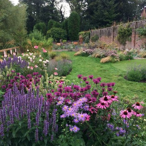 Howick Hall’s Sensory Garden – Susan Rushton Sensory Garden, Cottage Garden Design, Garden Idea, Wildflower Garden, Garden Borders, Art Garden, Ideas Garden, Perennial Garden, Gorgeous Gardens