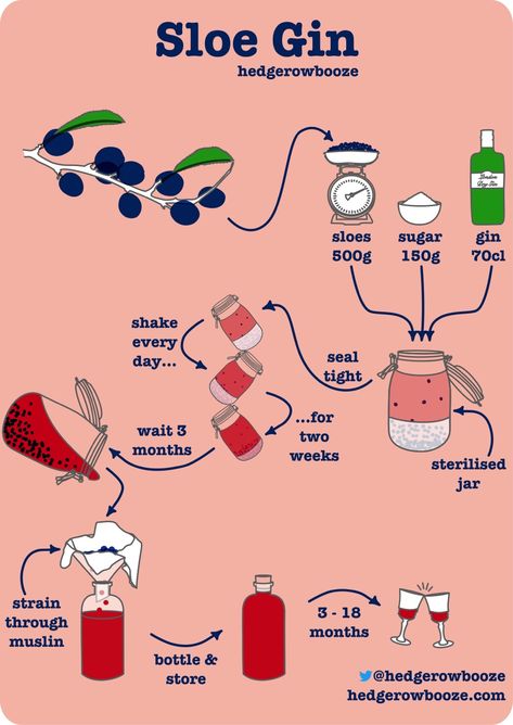 Sloe Gin Recipe - Hedgerow Booze Sloe Berry Recipes, Sloe Gin Recipe, Sloe Gin Fizz, Minecraft Concept, Gin Recipe, Wild Recipes, Sloe Berries, Fresh Herb Recipes, Fodmap Friendly Recipes