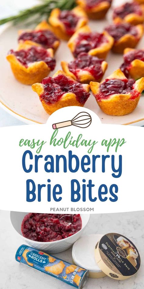 Cranberry Brie Bites Brie Cranberry Appetizer, Brie Pastry, Cranberry Appetizer, Crescent Roll Appetizers, Cranberry Brie Bites, Cranberry Bites, Make A Turkey, Pastry Bites, One Bite Appetizers