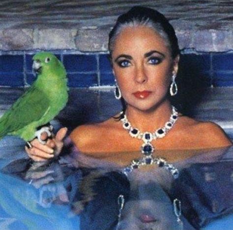 Liz Smith, Elizabeth Taylor Jewelry, Liz Taylor, Helmut Newton, Photography Color, Violet Eyes, Elsa Peretti, Actrices Hollywood, Norma Jeane