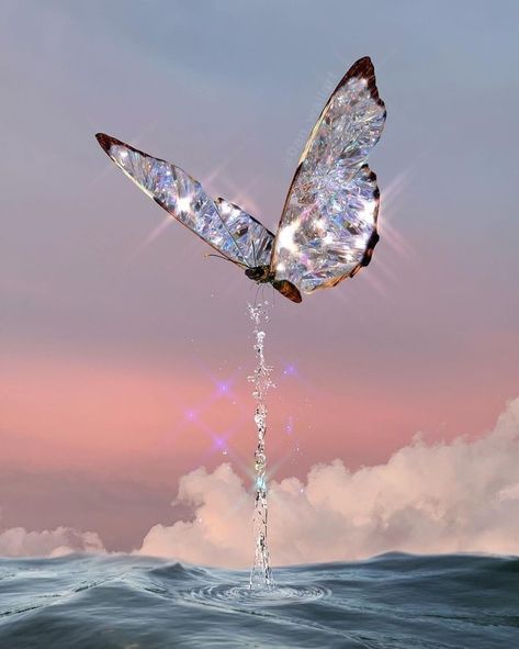 A Butterfly, Water