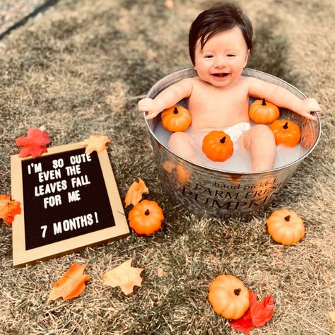 7 Month Old Baby Pictures October, Infant October Photos, September Infant Photoshoot, Diy 8 Month Old Photoshoot, 3month Halloween Photoshoot, Fall Theme Milestone Pictures, 3 Month October Pictures, Halloween Infant Pictures, 6 Month Milestones Pictures