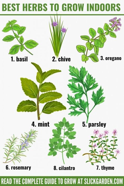 Herbs To Plant Indoors, Indoor Garden Herbs, How To Grow Veggies Indoors, How To Grow Indoor Herbs, Grow Herbs At Home, Grow Indoor Herbs, Indoor Herbs Ideas, Edible Plants To Grow Indoors, Best Indoor Herbs To Grow