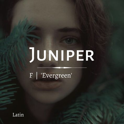 [JOON-i-pər], Photography by Marta Bevacqua #names #babynames #girlnames #characternames #fantasynames #jnames Juniper Name Meaning, Juniper Name, Evergreen Photography, Fictional Names, Novel Names, Oc Names, Marta Bevacqua, J Names, Female Character Names