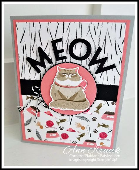 Pampered Pets Stampin Up Cards, Pets And More Stampin Up Cards, Catherine Pooler Peeking Pets, Stampin Up Pets & More, Scrapbooking Pets, Cat Cards Handmade, Dog Cards, Cat Cards, Animal Cards