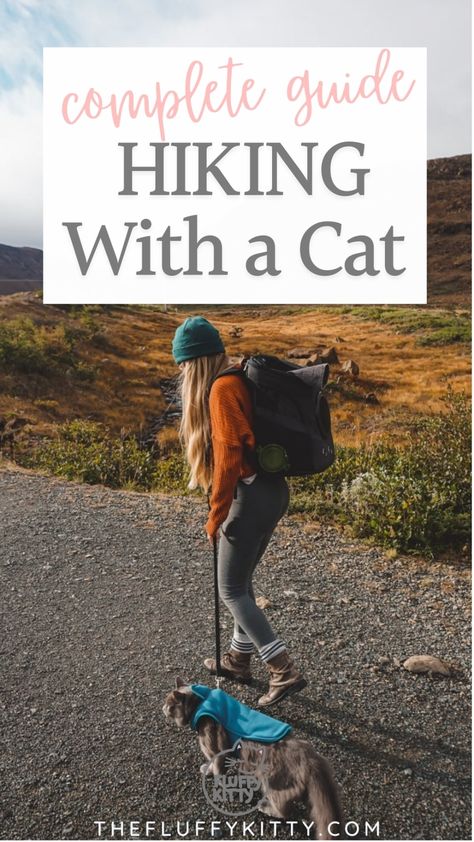 How to Hike with a Cat: Our Complete Guide - Fluffy Kitty Traveling With A Cat Road Trips, Hiking Cat, Cat Hiking, Road Trip With Cats Tips, Traveling With Cats In Car, Taking Cat, Hiking With Cats, Camping With Cats, Adventure Cat